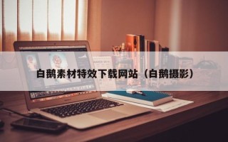 来宾白鹅素材特效下载网站（白鹅摄影）